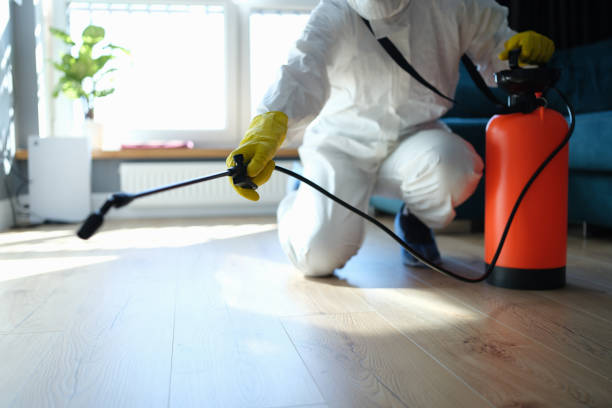 Professional Pest Control in Cayce, SC