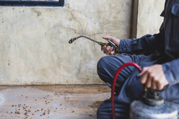 Best Best Pest Control Companies  in Cayce, SC