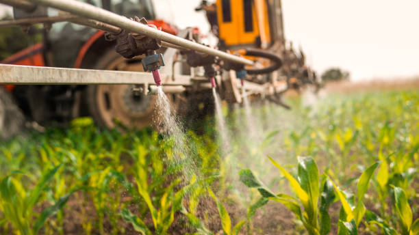 Best Mosquito Control Services  in Cayce, SC